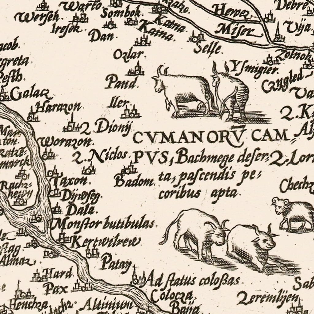 Vintage Map of Hungary 1570