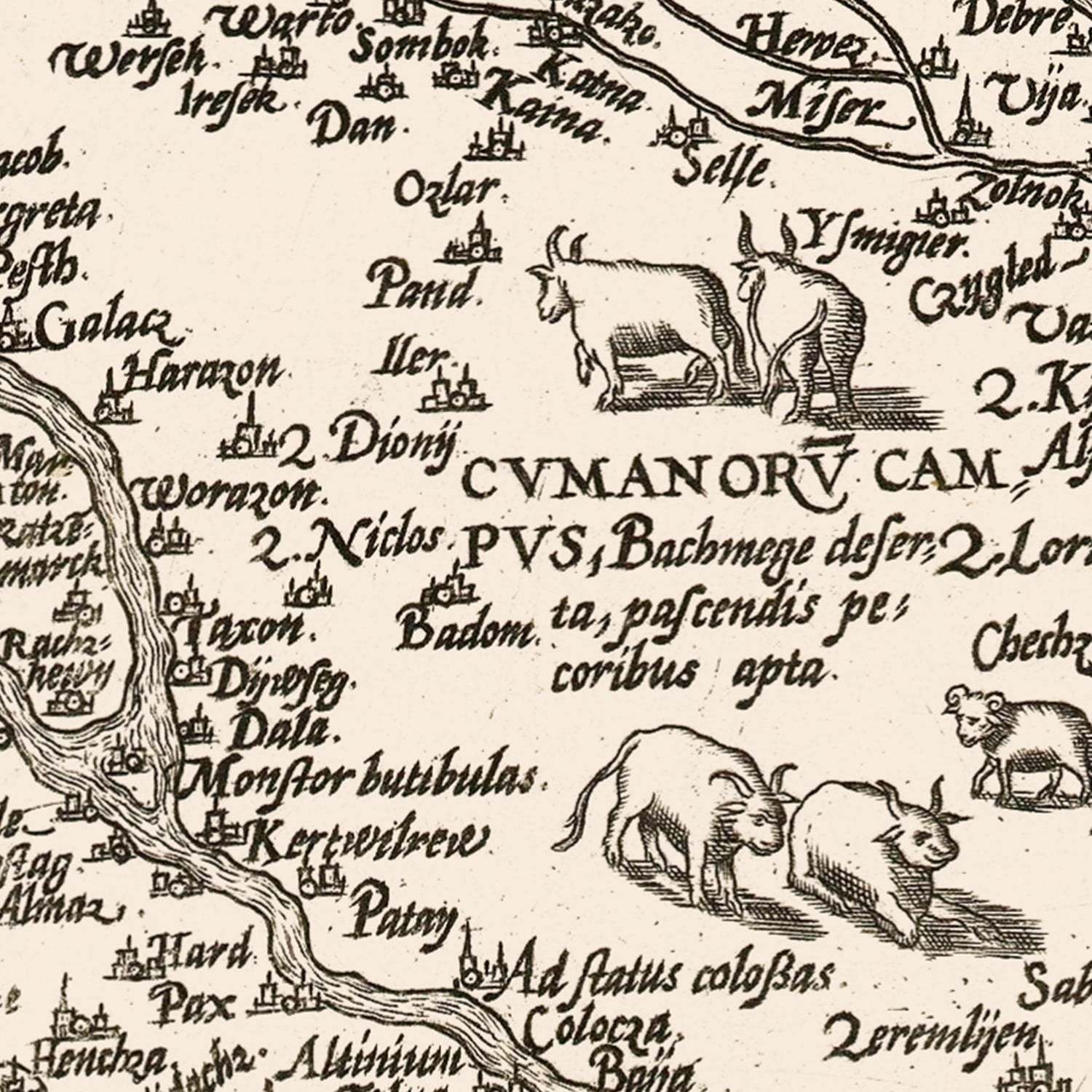 Vintage Map of Hungary 1570