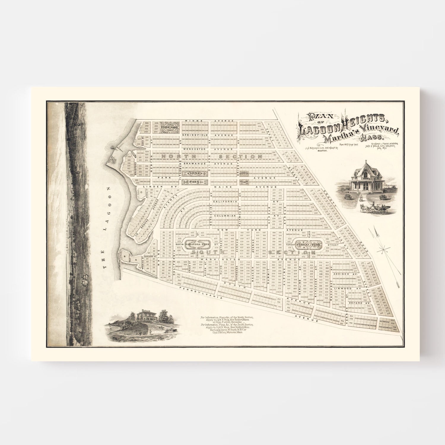Vintage Lagoon Heights Marthas Vineyard Map 1873
