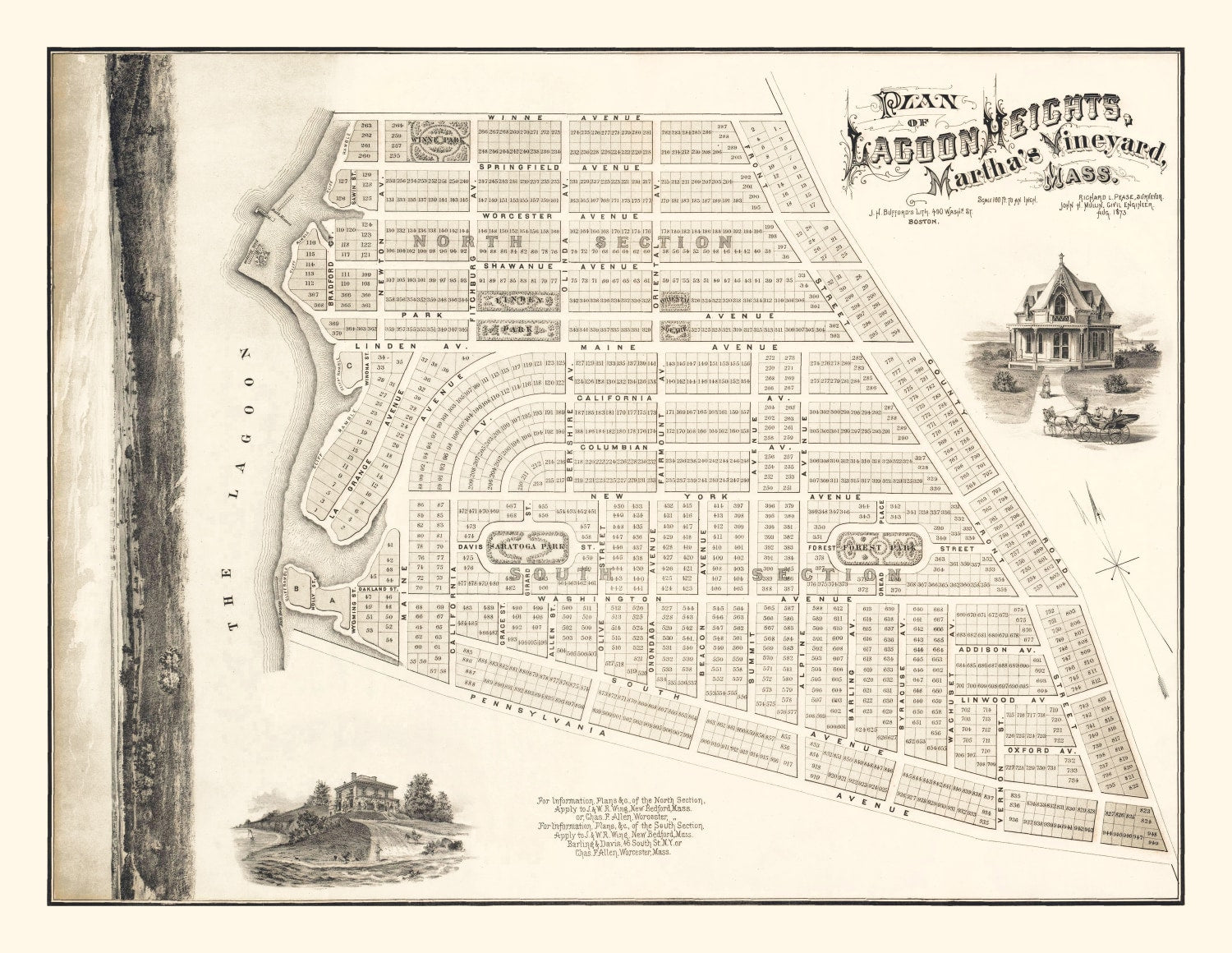 Vintage Lagoon Heights Marthas Vineyard Map 1873