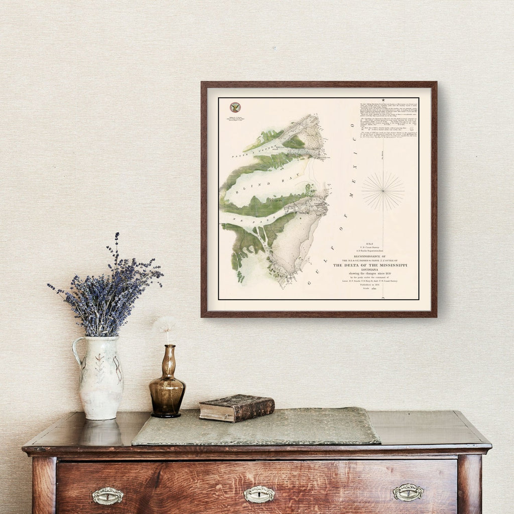 Vintage Mississippi River Delta Map 1851