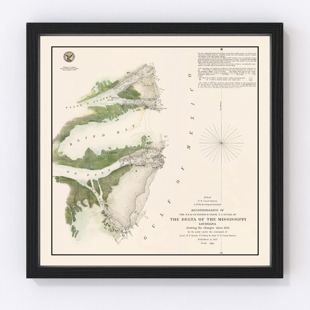Vintage Mississippi River Delta Map 1851