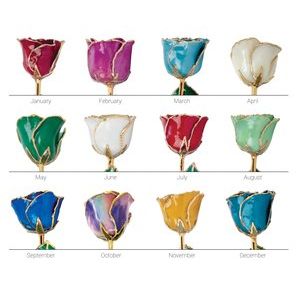 Lacquered Blue Zircon Colored December Birthstone Rose with Gold Trim