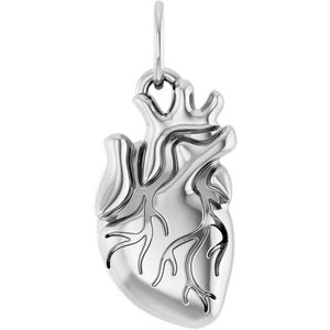 Anatomical Heart Necklace or Pendant