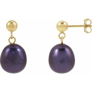 14K Yellow Gold Cultured Black Freshwater Pearl Earrings