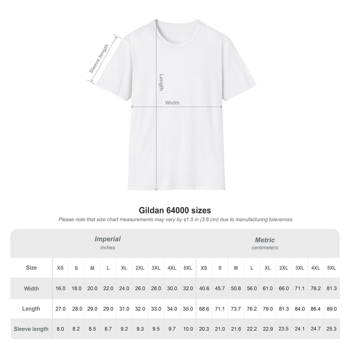 Sweet Sixteen Birthday Cake Balloons T-Shirt, Celebration Tee, Unisex Happy 16th Bday Gift