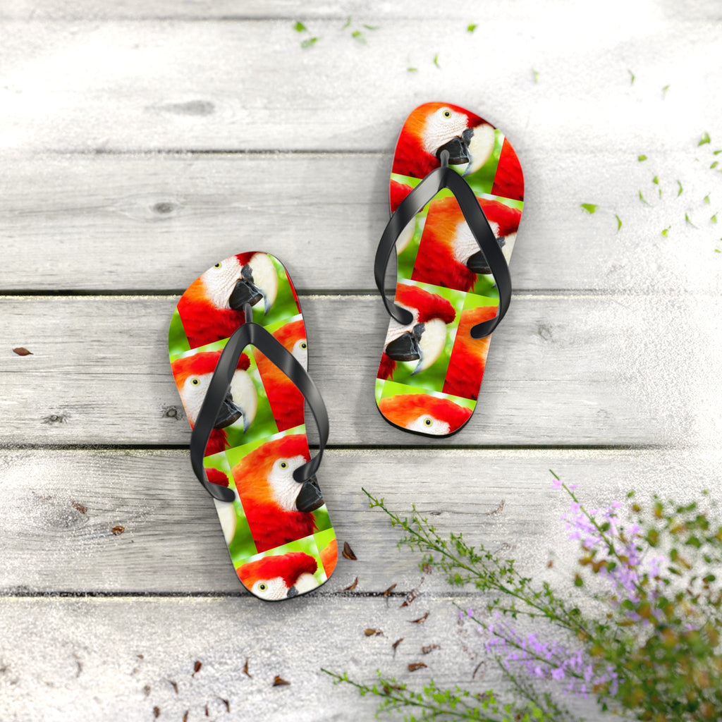 Scarlet Macaw Parrot Flip Flops