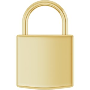Engravable Lock Necklace or Pendant