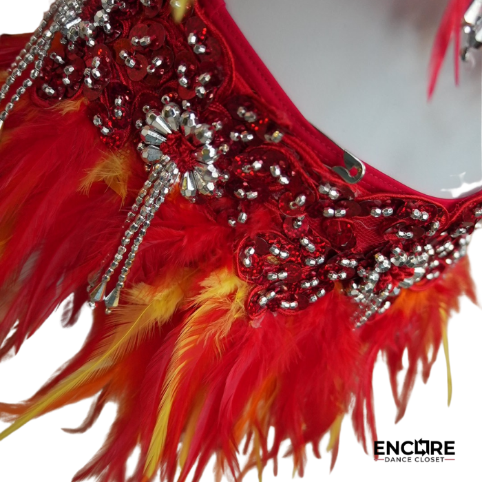 Phoenix Flame Feathered Dance Set