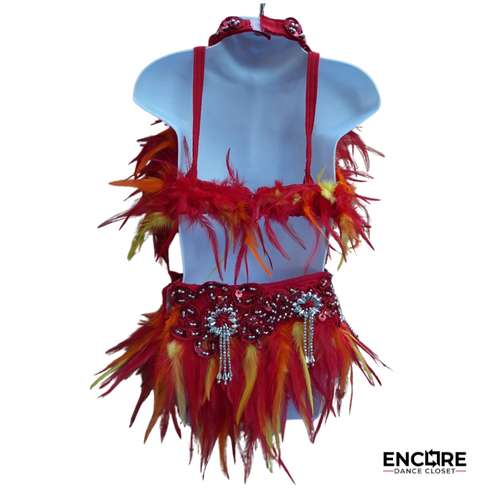 Phoenix Flame Feathered Dance Set