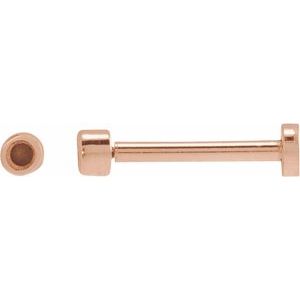14K Rose Gold 2.5 mm Round Bezel-Set Stud Earring Mounting