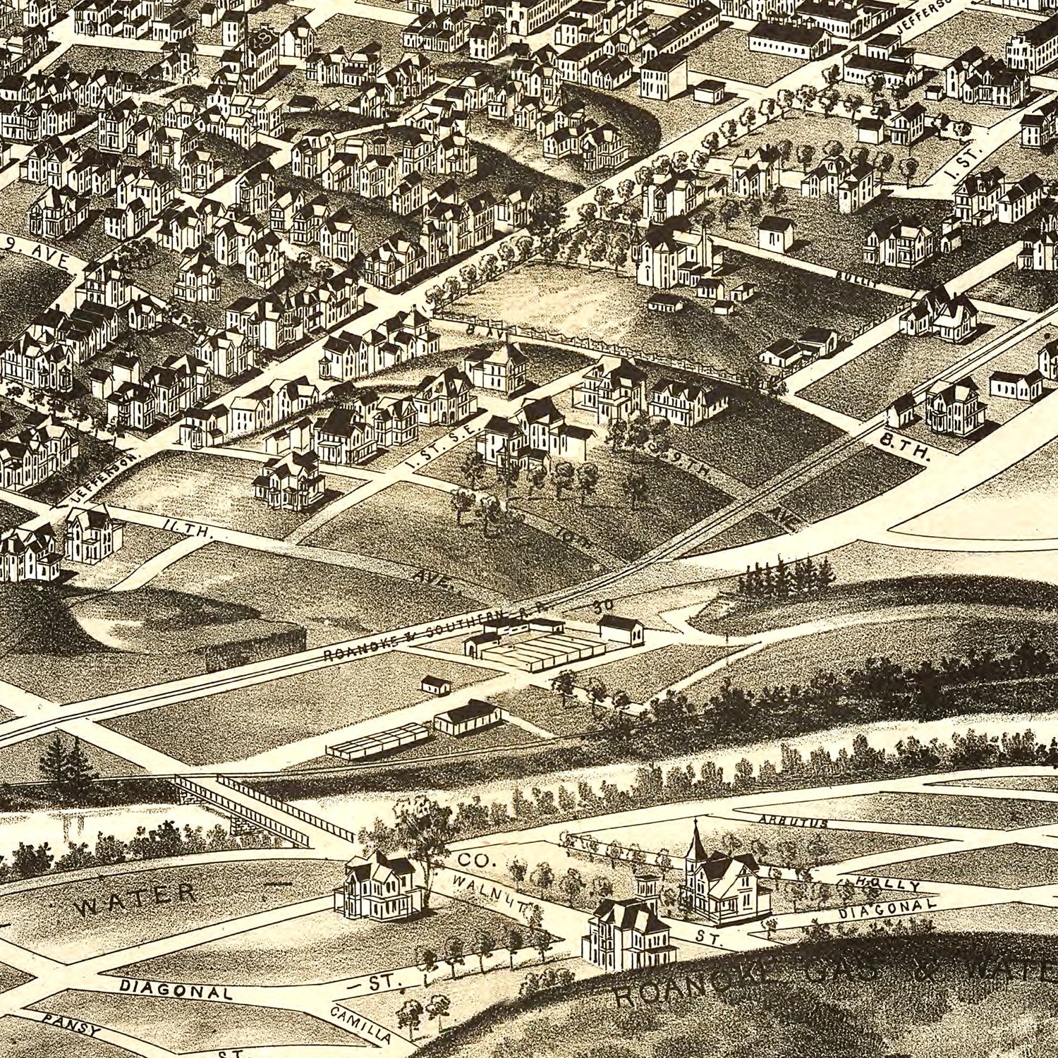Vintage Map of Roanoke, Virginia 1891