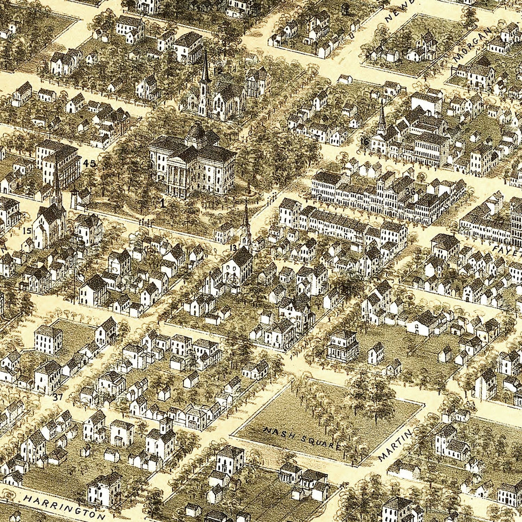 Vintage Map of Raleigh, North Carolina 1872