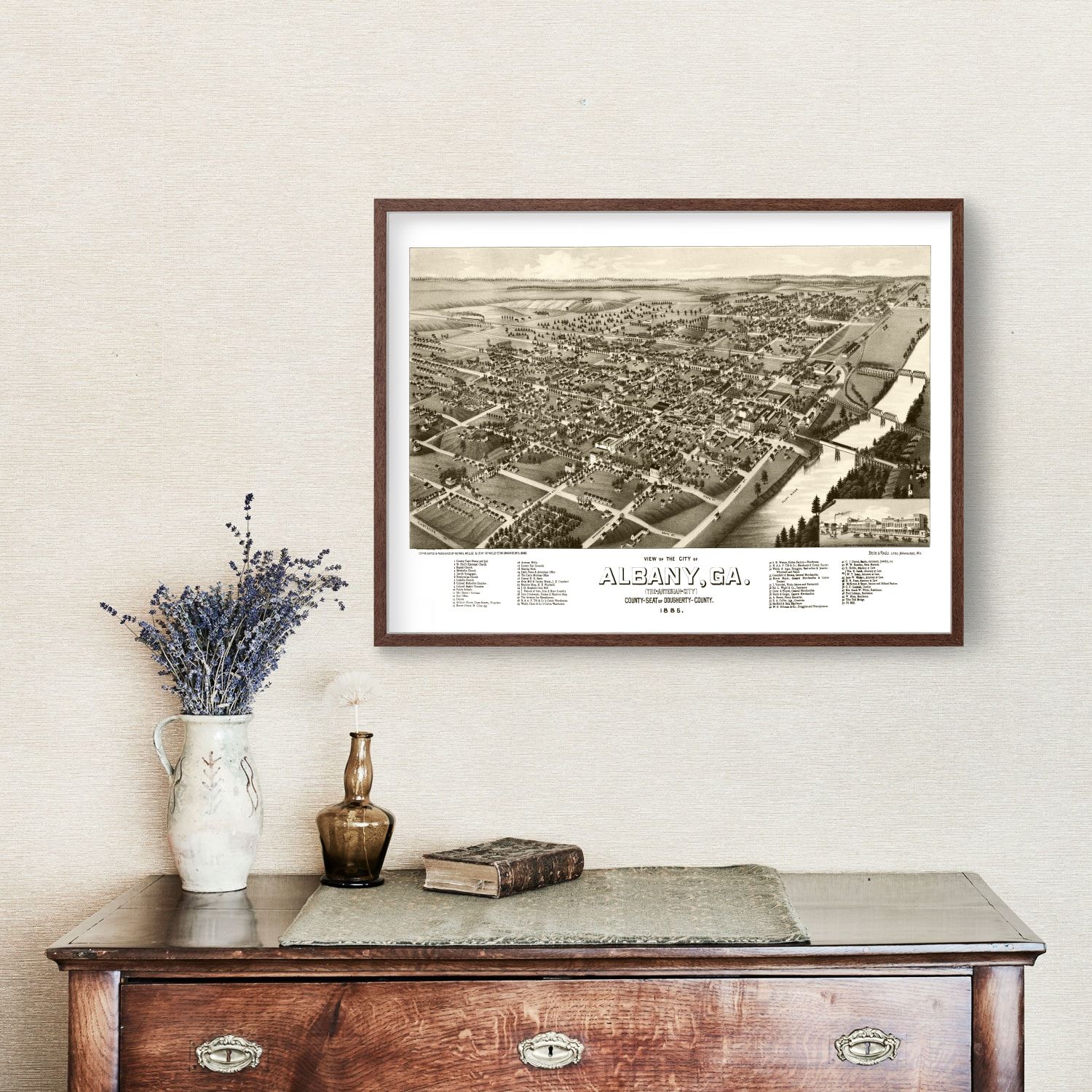 Vintage Map of Albany, Georgia 1885
