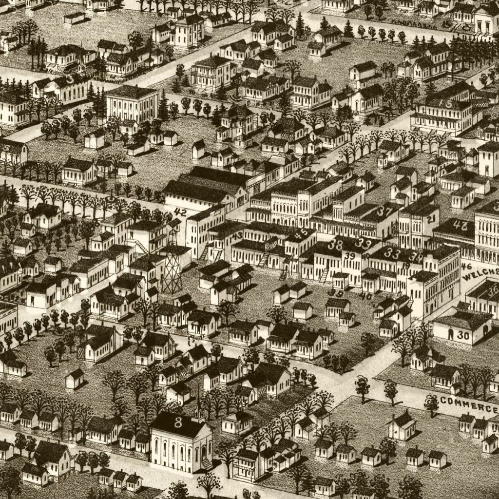 Vintage Map of Albany, Georgia 1885