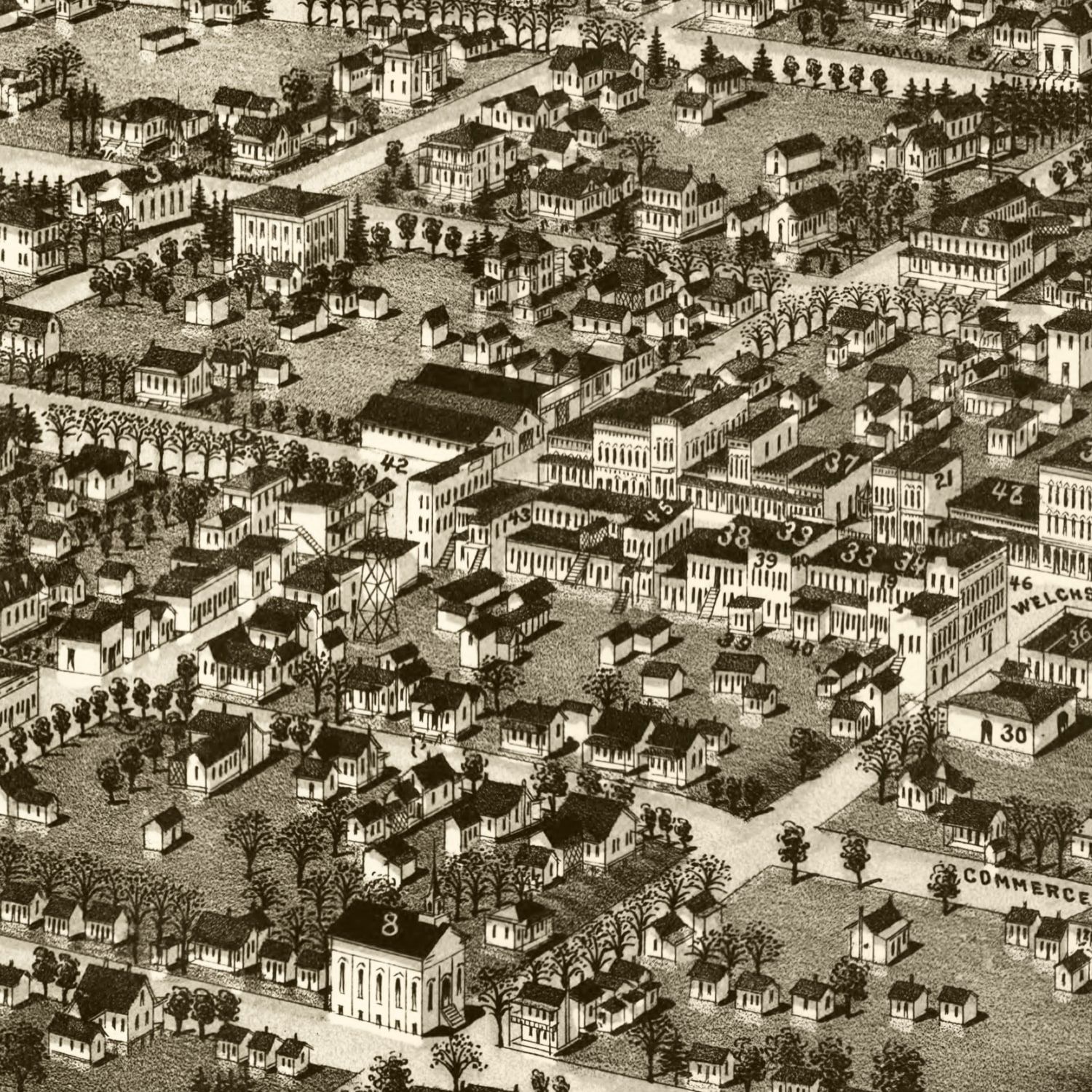 Vintage Map of Albany, Georgia 1885