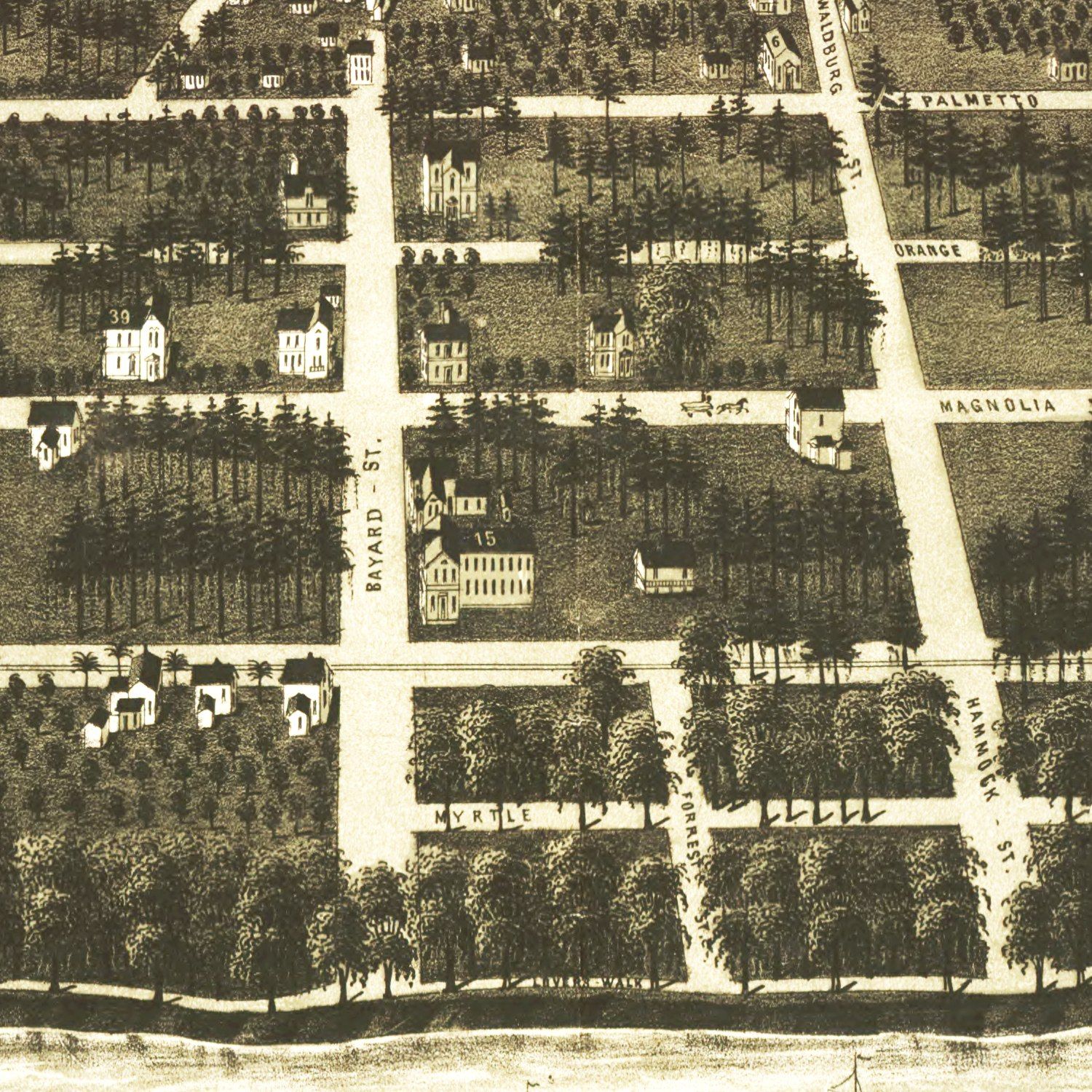 Vintage Map of Green Cove Springs, Florida 1885