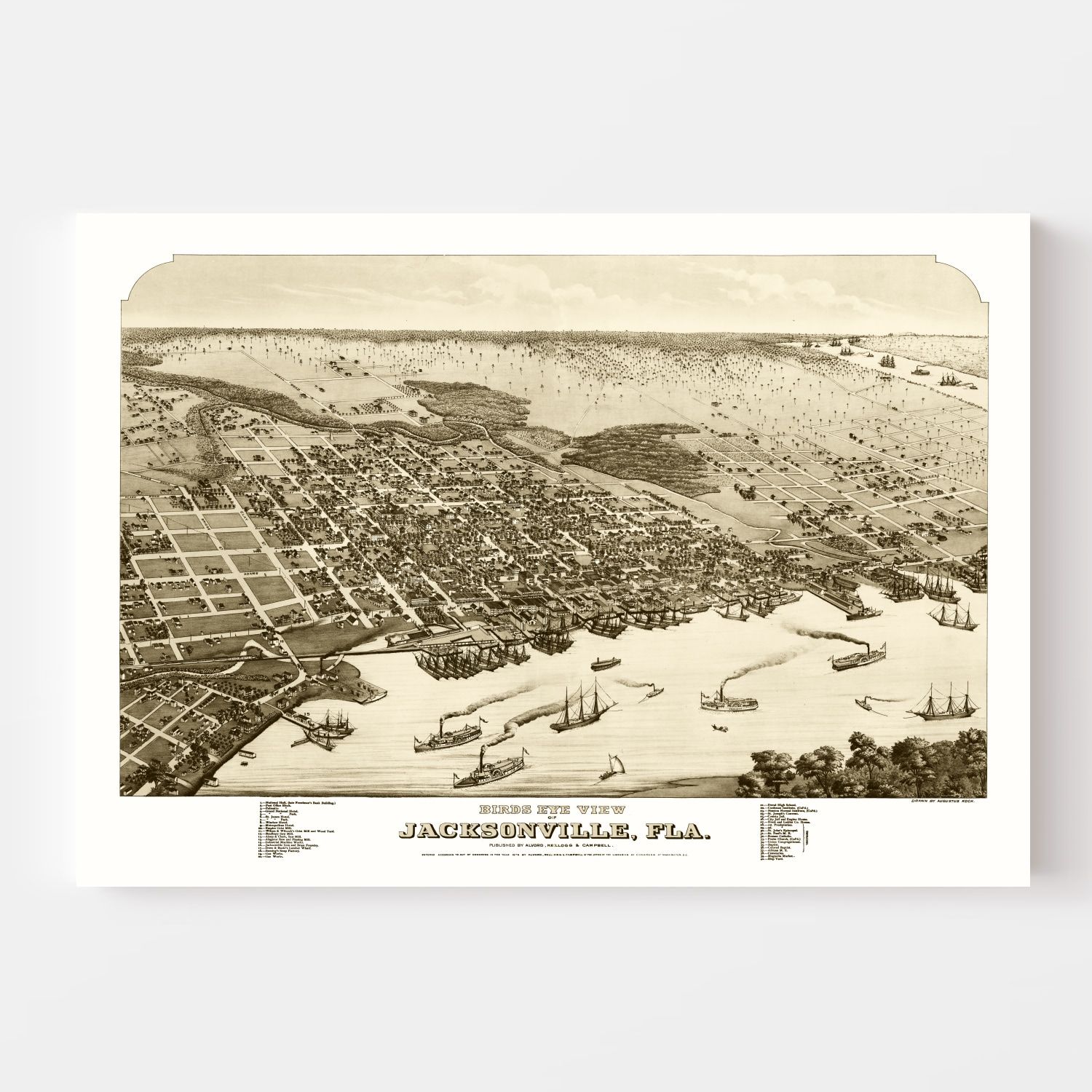 Vintage Map of Jacksonville, Florida 1876