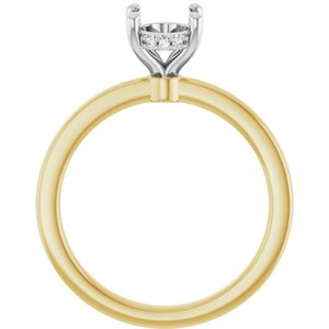 14K Yellow/White Gold 8x6 mm Oval .04 CTW Natural Diamond Semi-Set Engagement Ring
