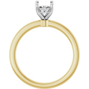 14K Yellow/White Gold 7.5x5.5 mm Oval .03 CTW Natural Diamond Semi-Set Engagement Ring