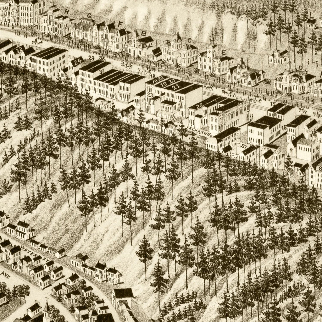 Vintage Map of Hot Springs, Arkansas 1888