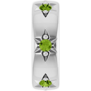 Platinum Natural Peridot Stackable Family Space Charm/Pendant