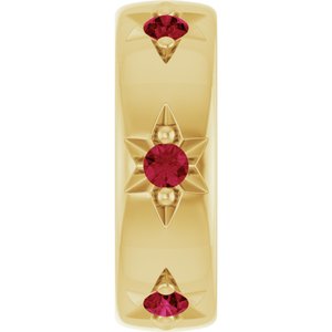 14K Yellow Gold Natural Ruby Stackable Family Space Charm/Pendant