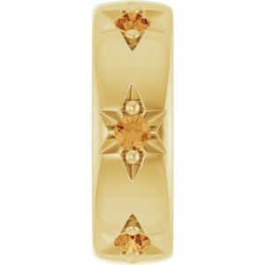 10K Yellow Gold Natural Citrine Stackable Family Space Charm/Pendant