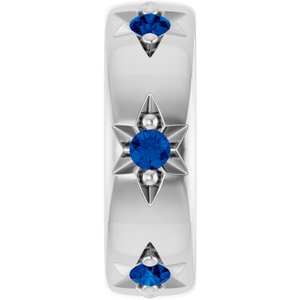 10K White Gold Lab-Grown Blue Sapphire Stackable Family Space Charm/Pendant