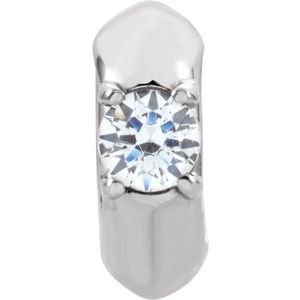 14K White Gold Imitation White Cubic Zirconia Birth of a Child® Spacer Charm/Pendant