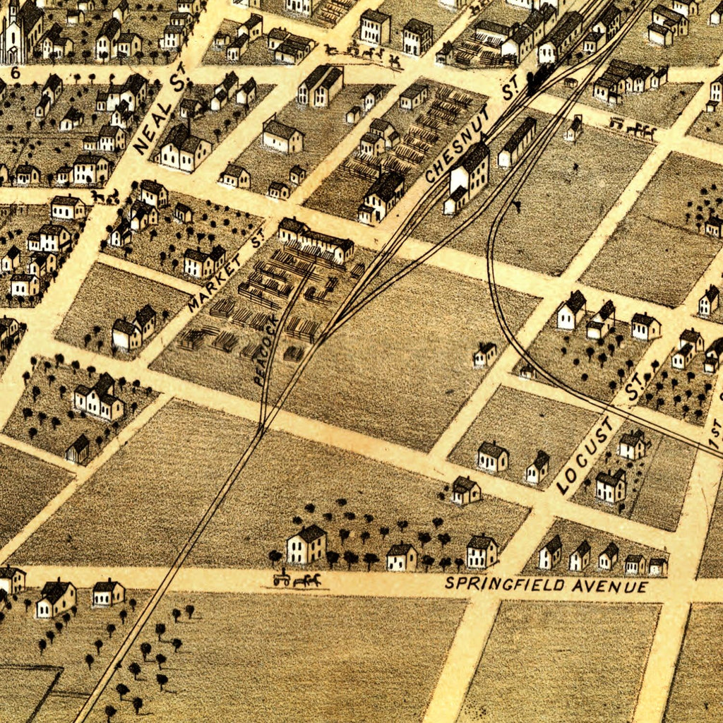 Vintage Map of Champaign, Illinois 1869