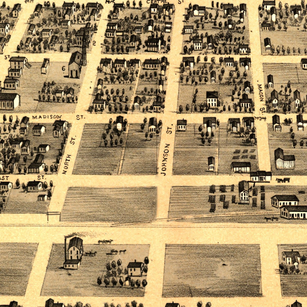 Vintage Map of Clinton, Illinois 1869