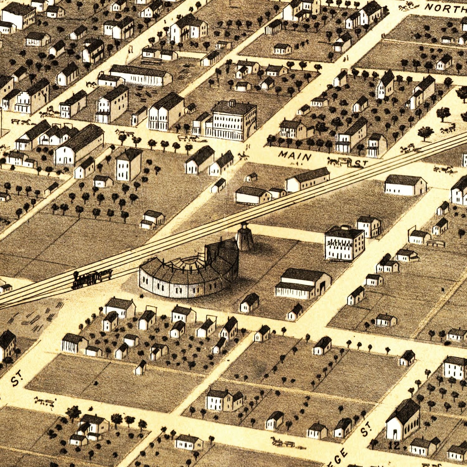Vintage Map of Danville, Illinois 1869
