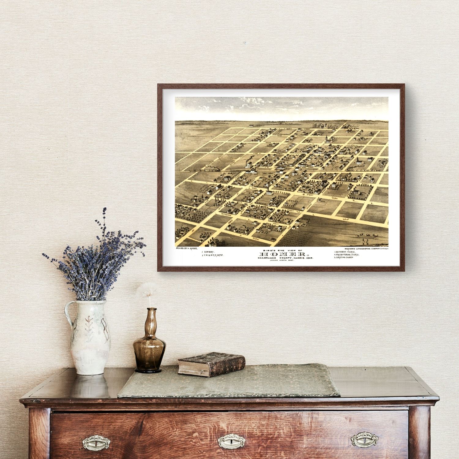 Vintage Map of Homer, Illinois 1869