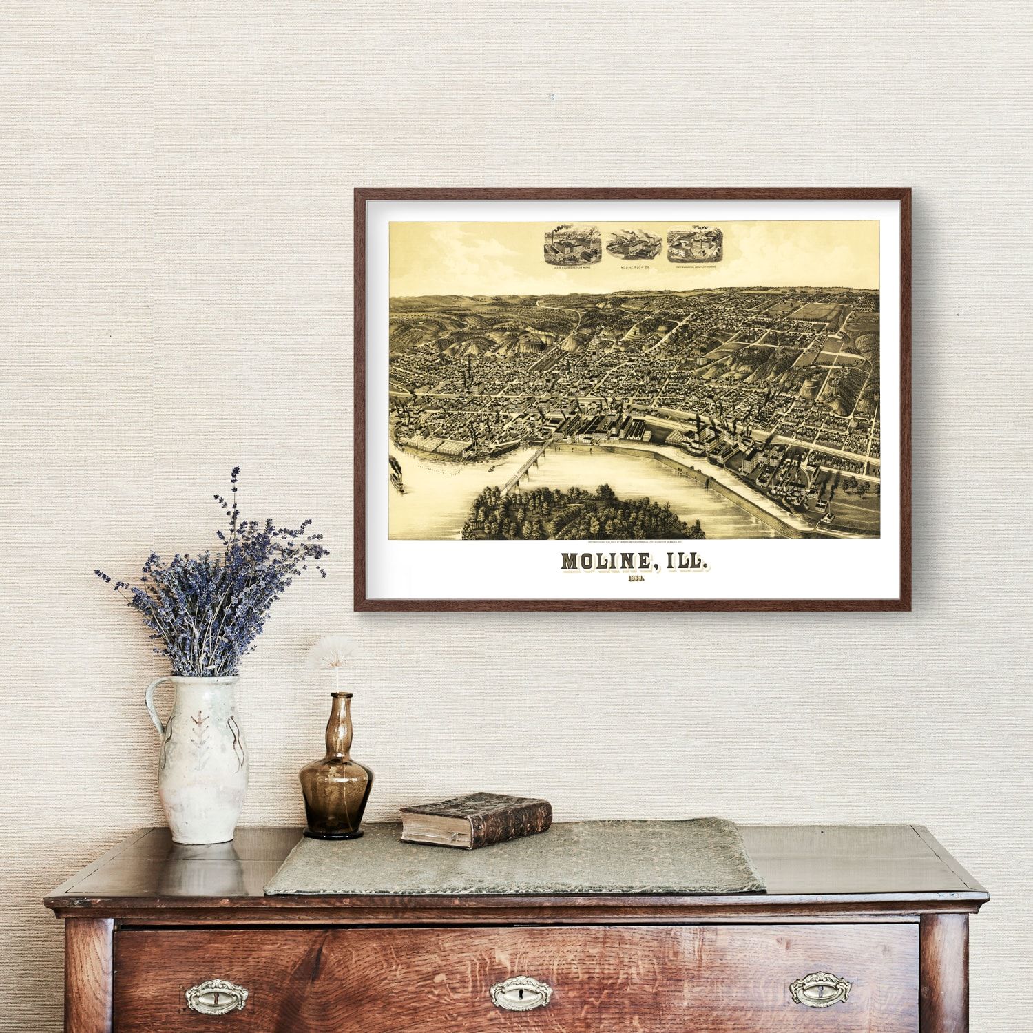 Vintage Map of Moline, Illinois 1889