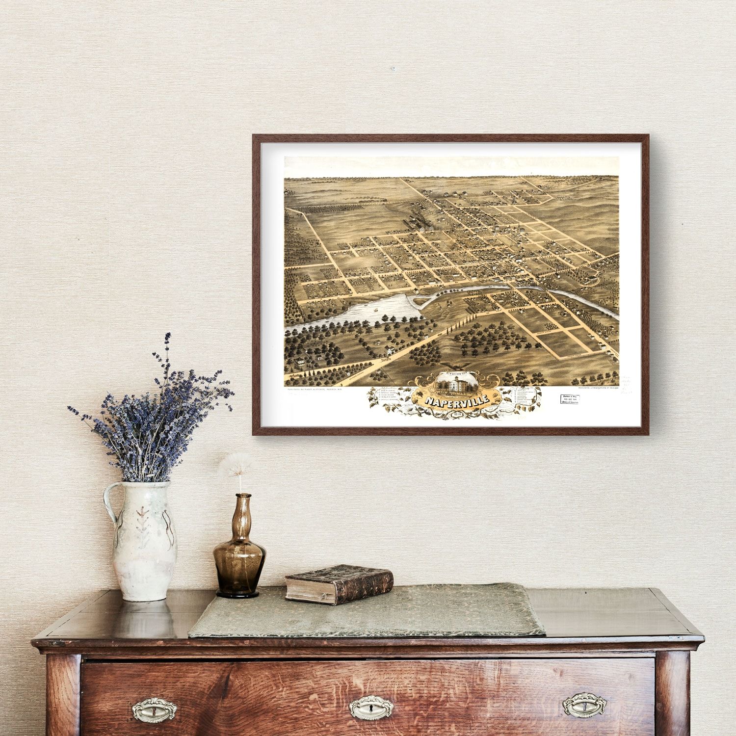Vintage Map of Naperville, Illinois 1869