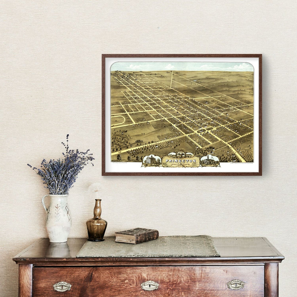 Vintage Map of Princeton, Illinois 1870