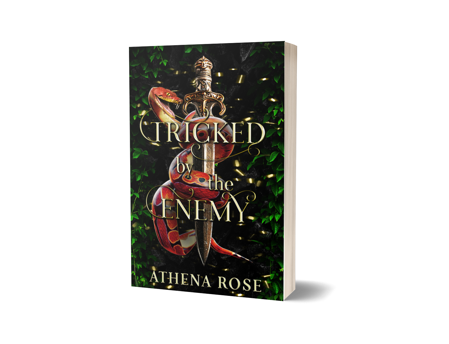 Tricked by the Enemy (Author Signed Paperback)
