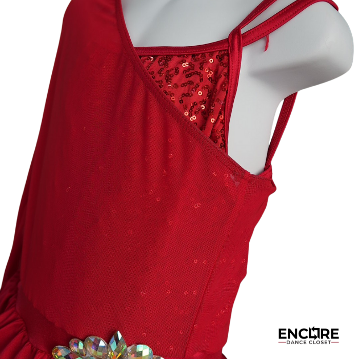 Ruby Radiance Red Dance Costume
