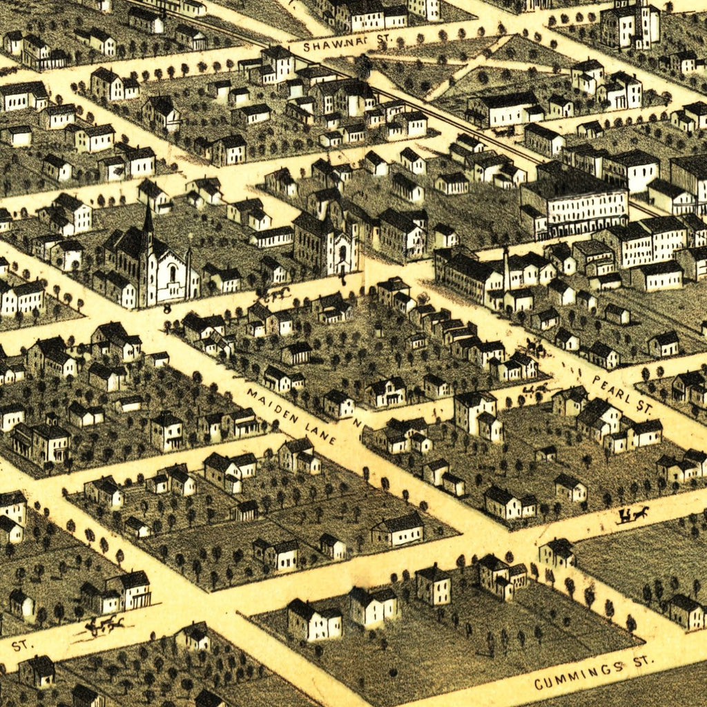 Vintage Map of Tecumseh, Michigan 1868