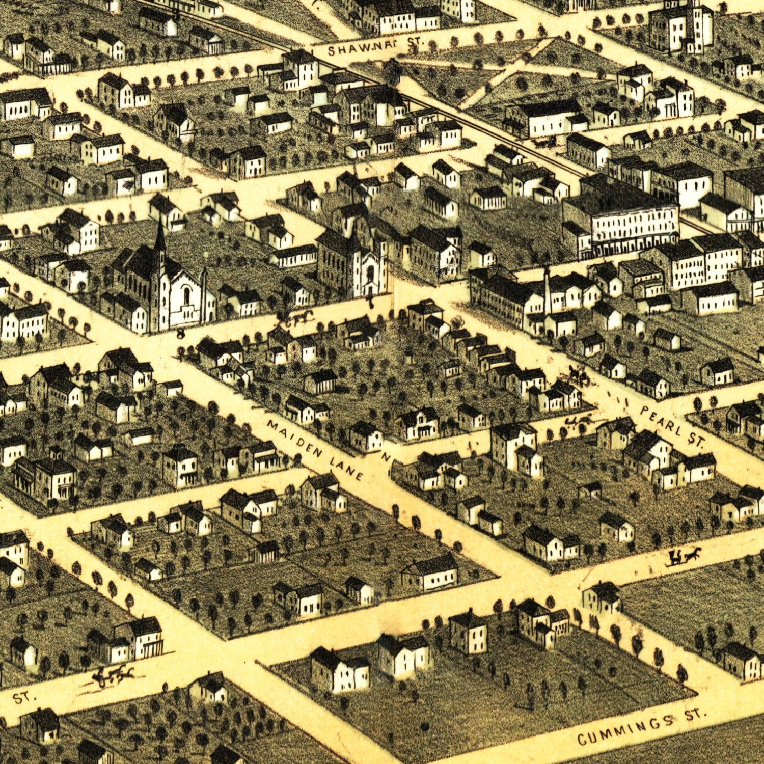 Vintage Map of Tecumseh, Michigan 1868