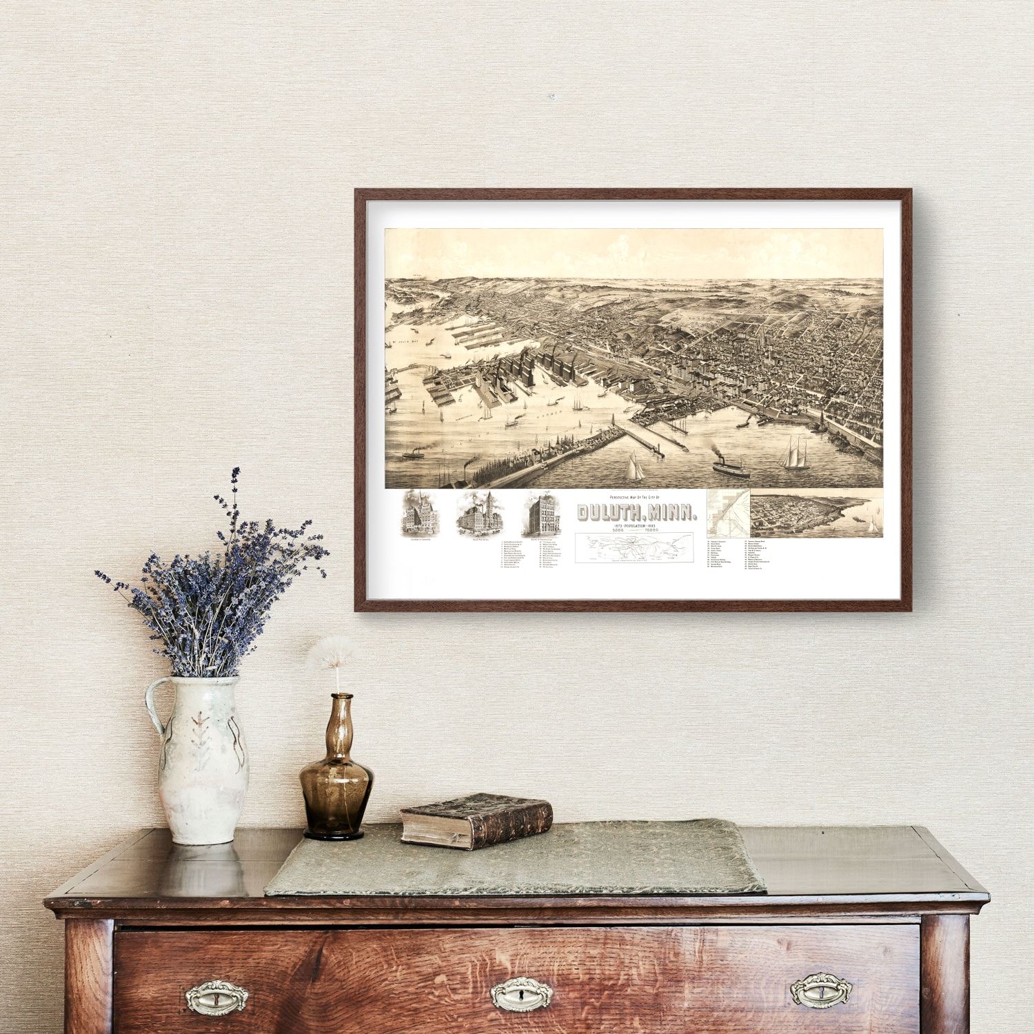 Vintage Map of Duluth, Minnesota 1893