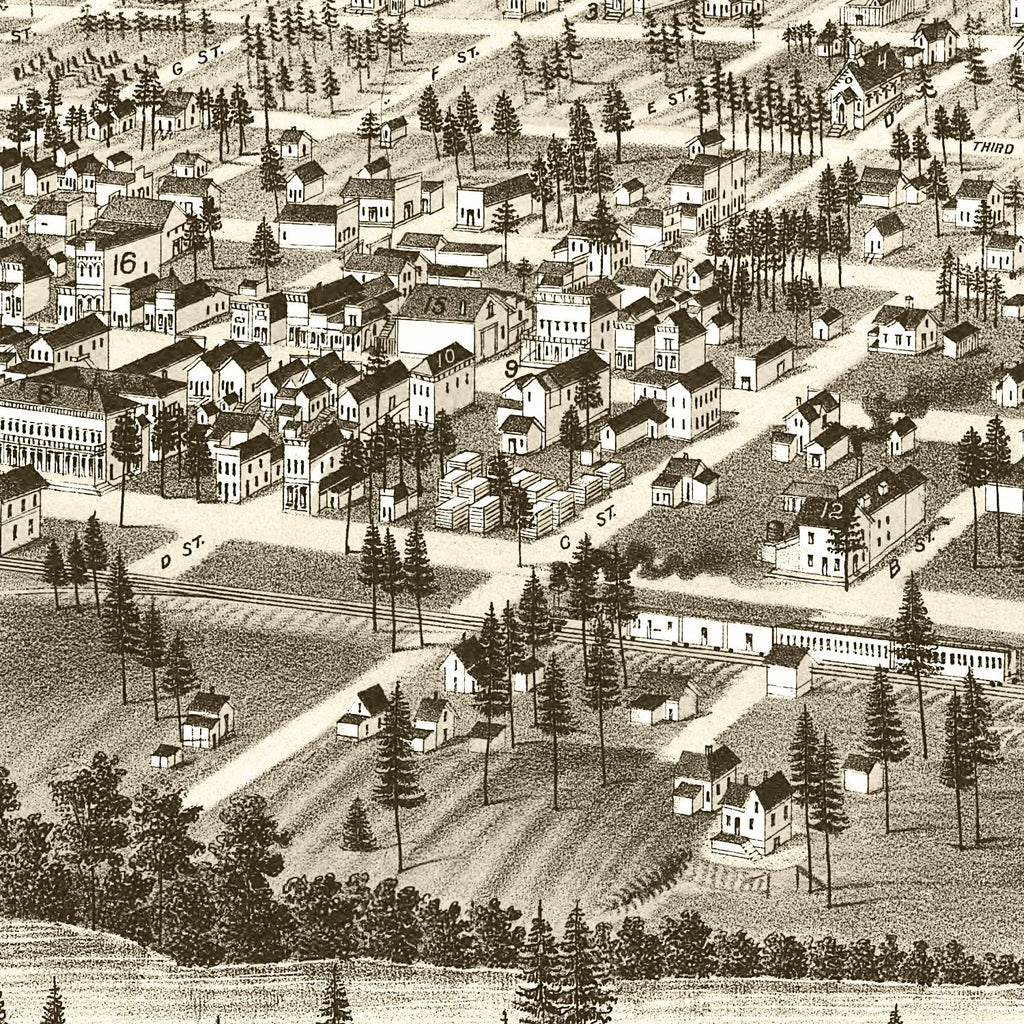 Vintage Map of Cheney, Washington 1884