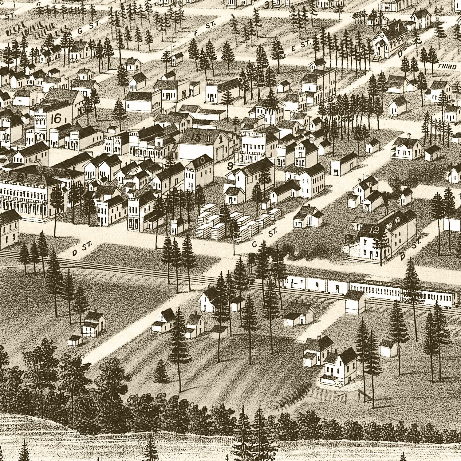 Vintage Map of Cheney, Washington 1884