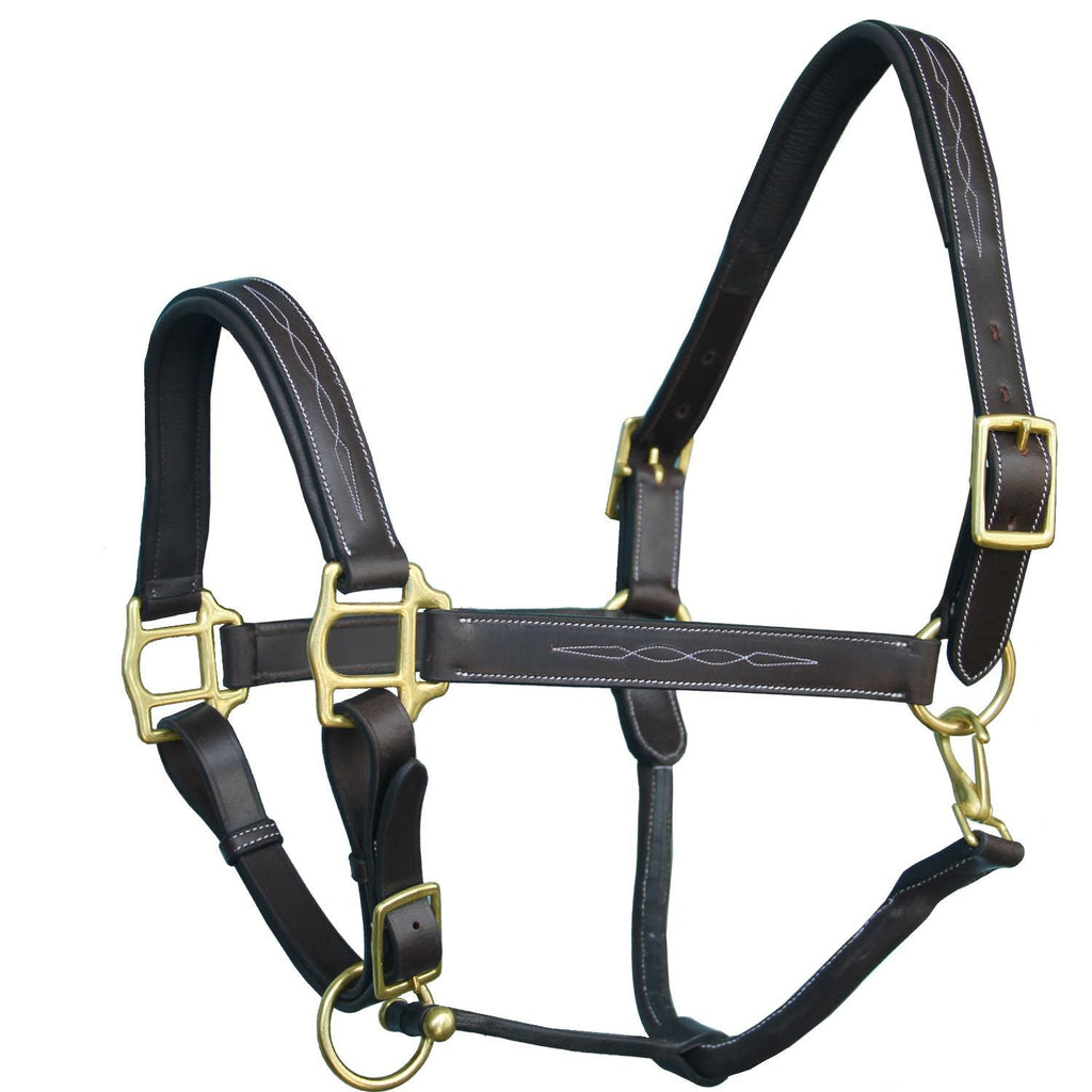 ExionPro Fancy Stitched Halter - Brass Hardware