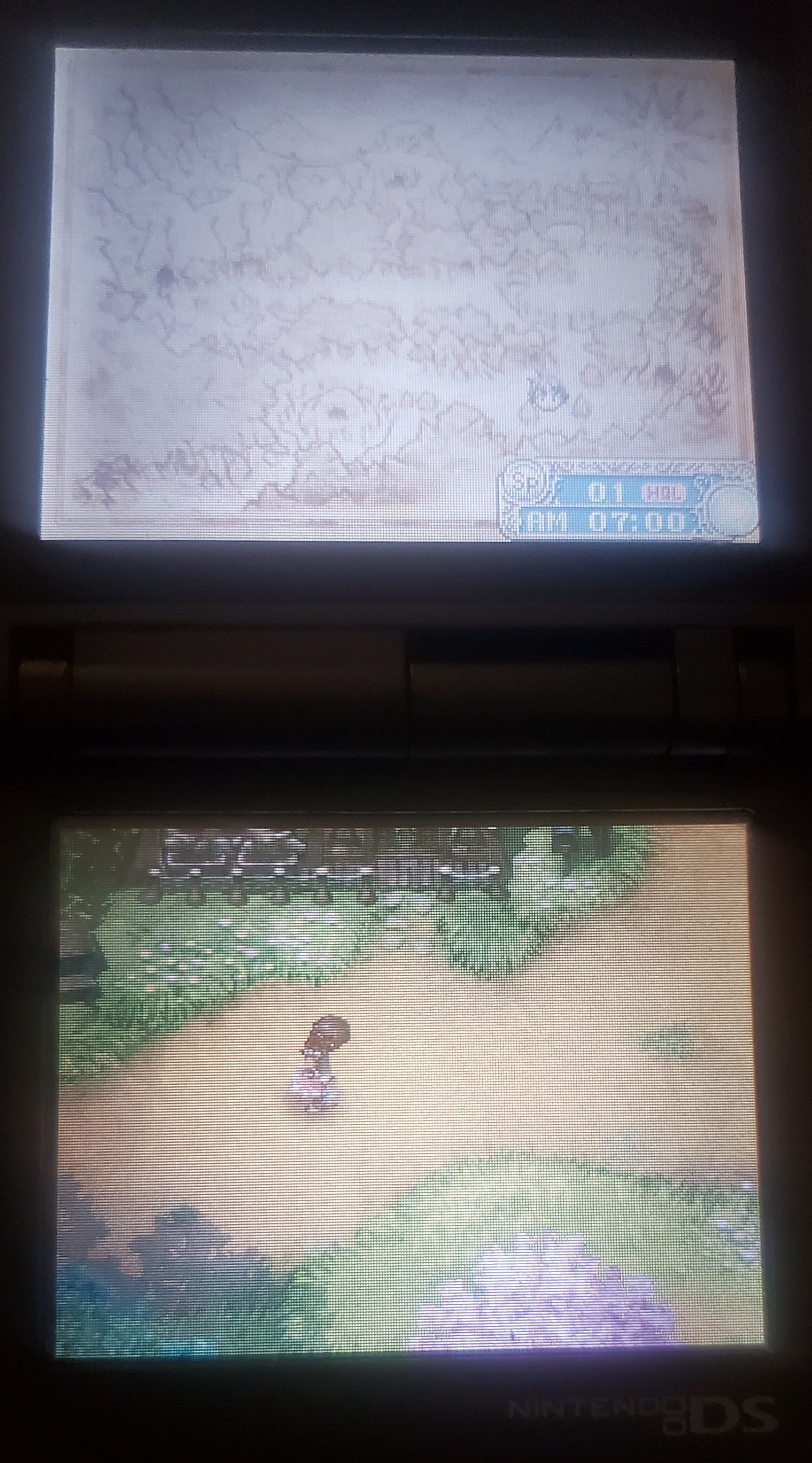 Rune Factory A Fantasy Harvest Moon NDS Video Game Nintendo DS 2006