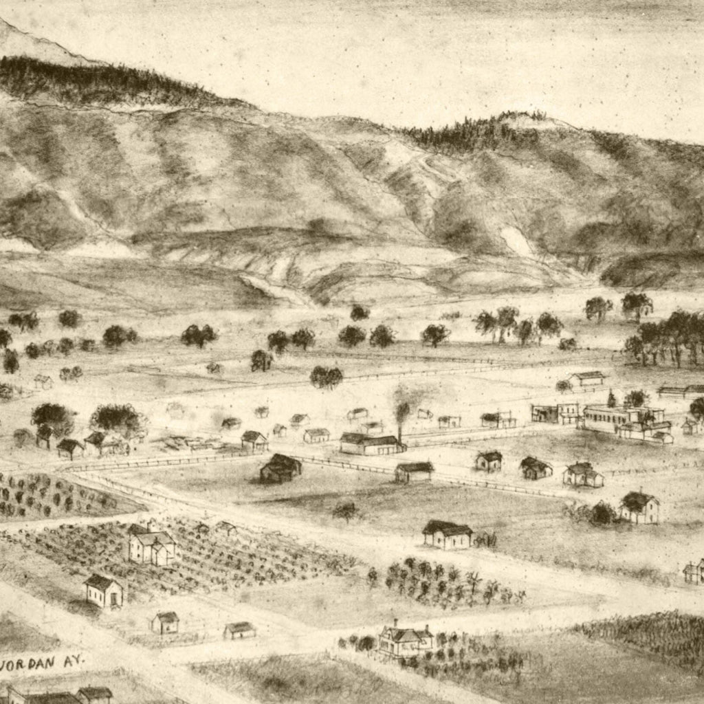 Vintage Map of San Jacinto, California 1886