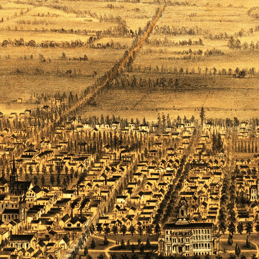 Vintage Map of San Jose, California 1875