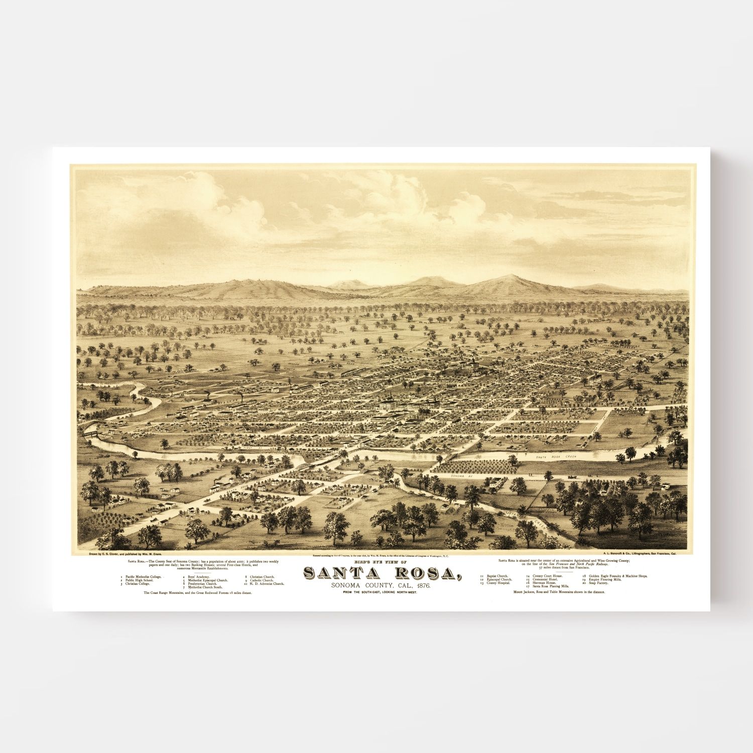 Vintage Map of Santa Rosa, California 1876