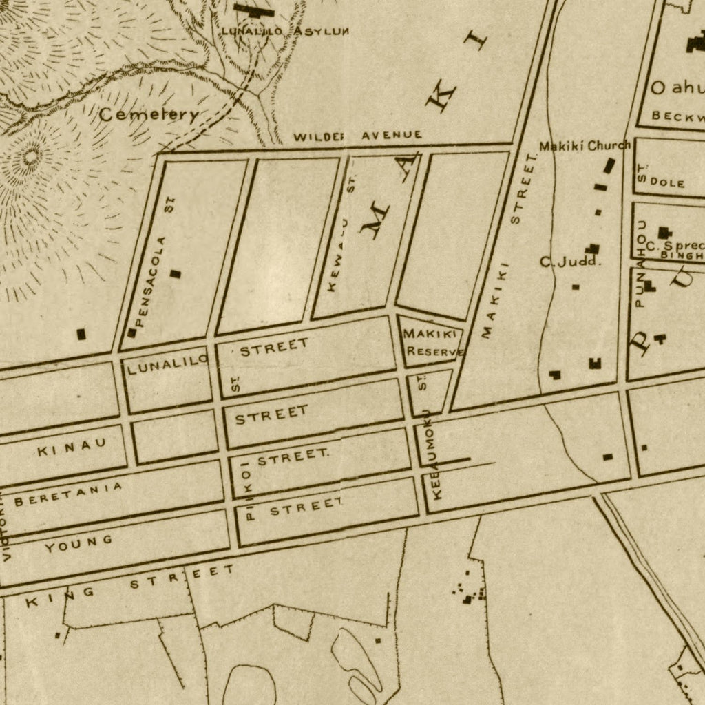 Vintage Map of Honolulu, Hawaii 1887